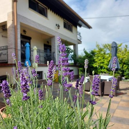 Apartman Nada Ozalj Exterior photo
